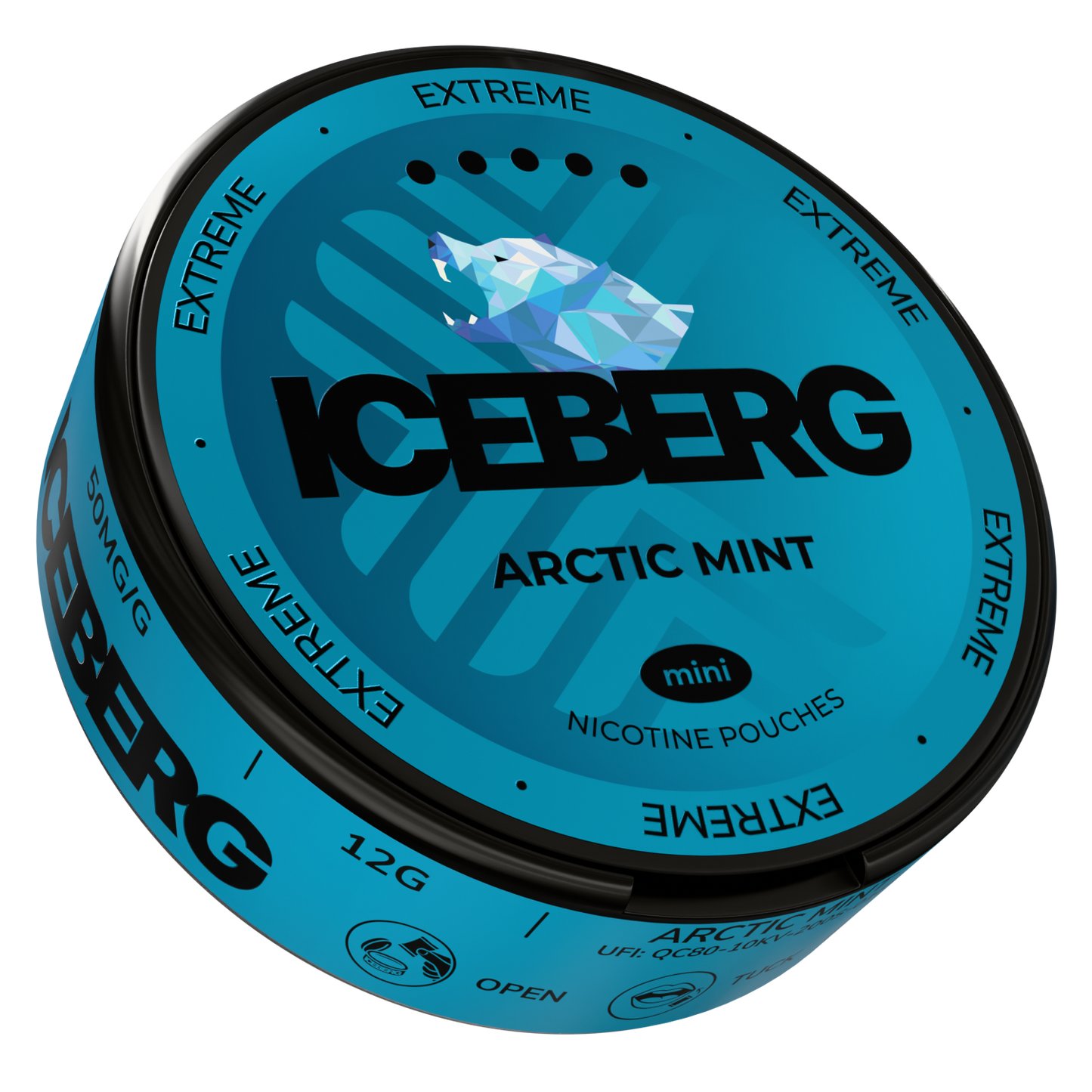 Iceberg Arctic Mint Mini