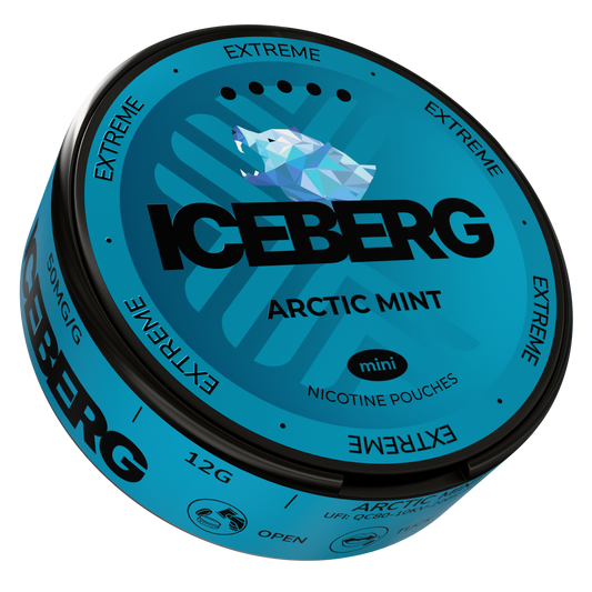 Iceberg Arctic Mint Mini